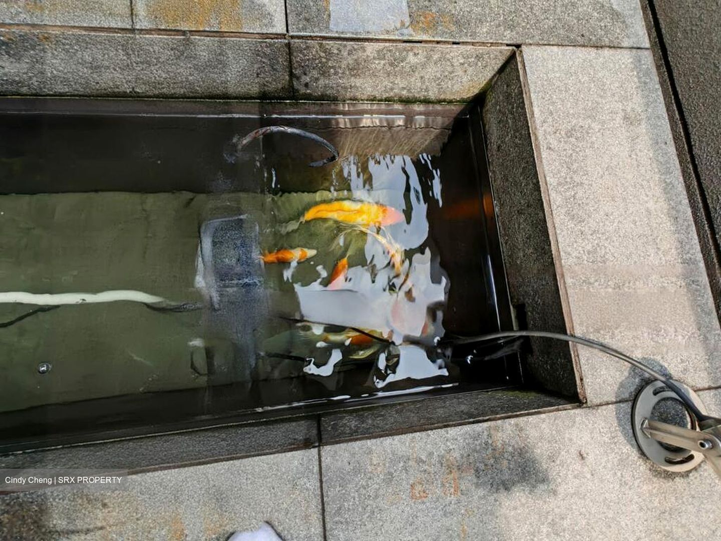 Phoenix Walk (D23), Semi-Detached #490870811